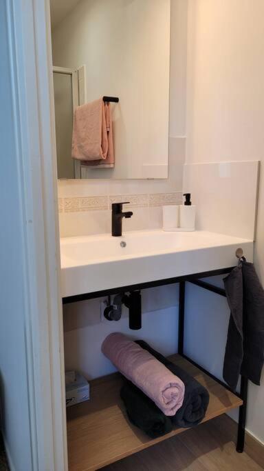 Apartment T2 Renove Avec Jardin Saint-Mathieu-de-Treviers