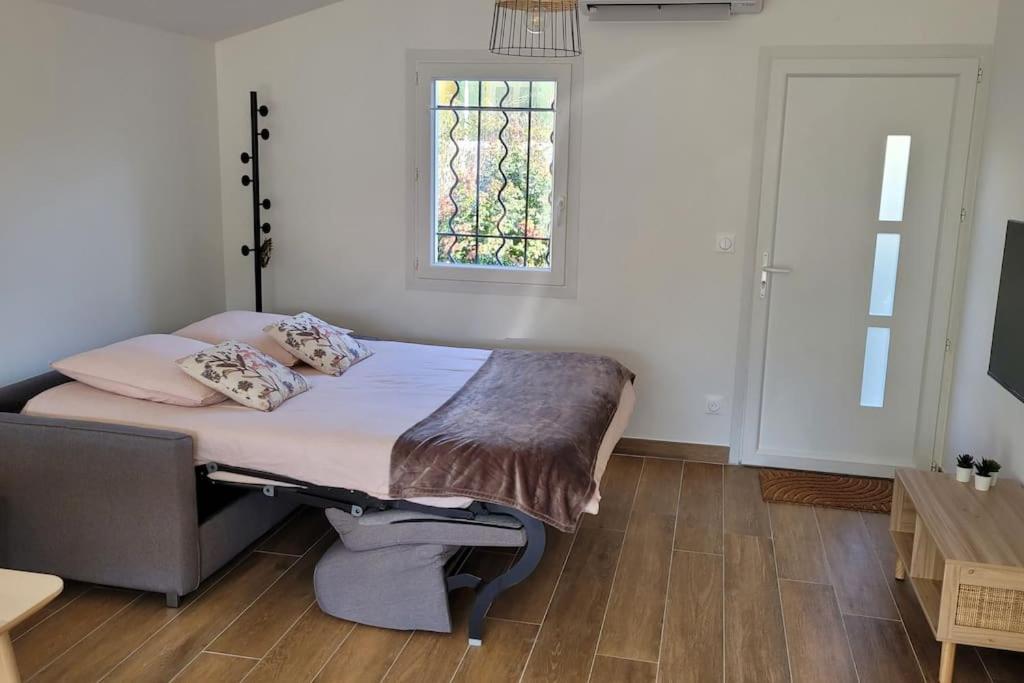 T2 Renove Avec Jardin